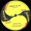 7" Charriot Of Love/Version IJAHMAN LEVI