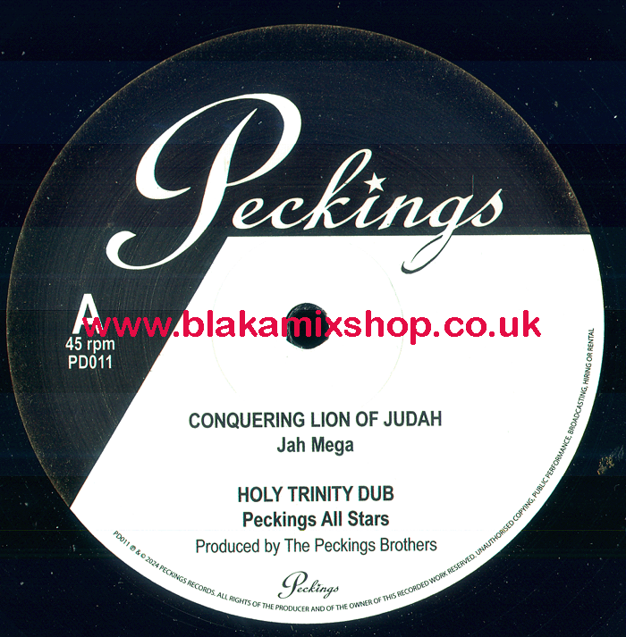 12" Conquering Lion Of Judah/Jah Works JAH MEGA/SISTER JAHIAN