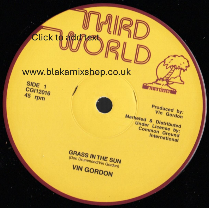 12" Grass In The Sun/Split Second VIN GORDON