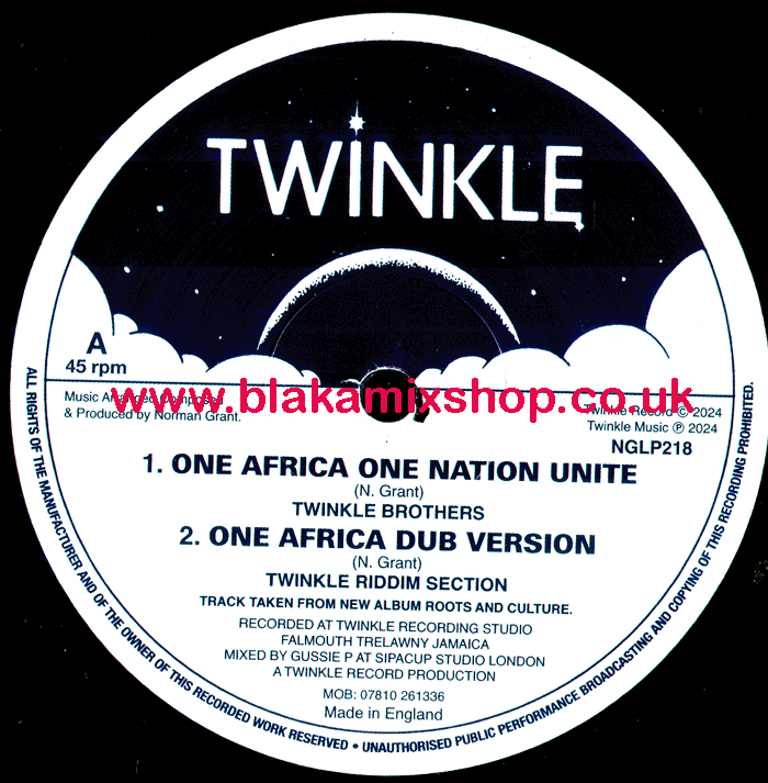 12" One Africa One Nation Unite/Jah Jah Guide Me TWINKLE BROTH