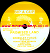 7" Promised Land/Dub BRINSLEY FORD