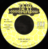 7" This World/Version VICEROYS/SLY & ROBBIE