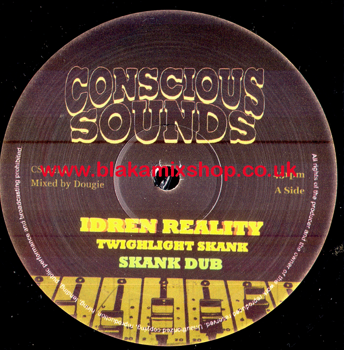 12" Twilight Skank/Children Of Babylon IDREN REALITY/MIKE BROO